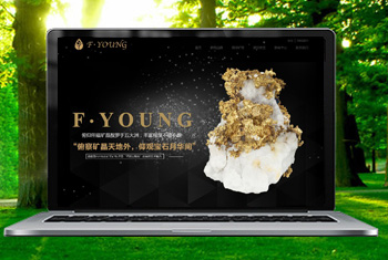 �����Ƹ������ﱦʯ